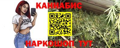 амф Гусев