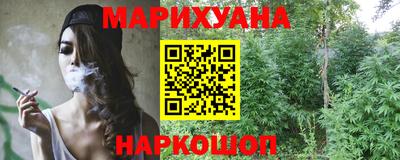 амф Гусев