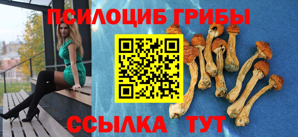Псилоцибиновые грибы GOLDEN TEACHER Ногинск