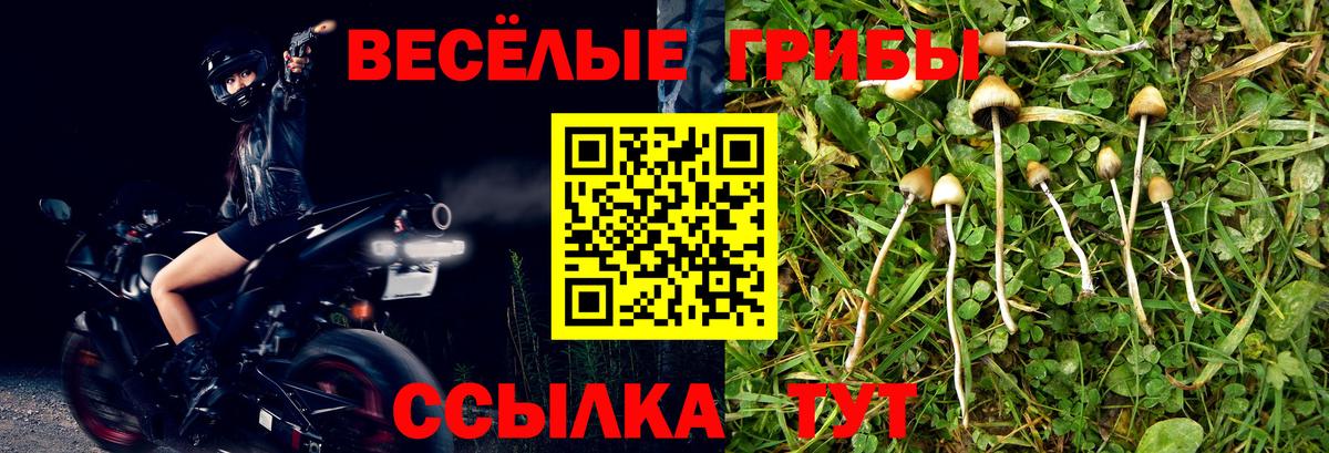 Псилоцибиновые грибы Psilocybe  Вход с VPN  Псилоцибиновые грибы MAGIC MUSHROOMS  хочу   Ногинск 